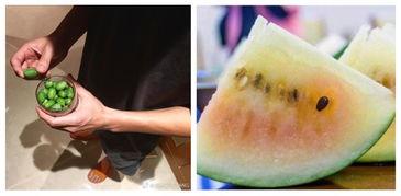 吃瓜群众配图片,吃瓜群众视角下的娱乐圈风云录