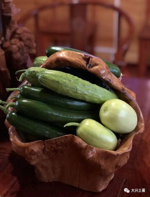 网红吃瓜日照,一场视觉与味蕾的双重盛宴  第2张