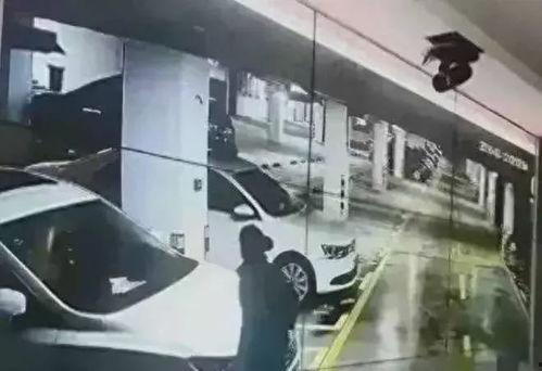 地下车位吃瓜,城市生活的新“瓜”界  第2张