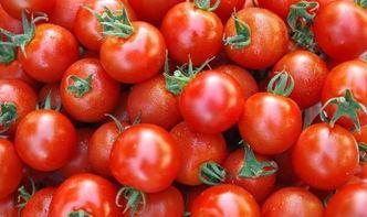 敬业吃瓜小说番茄,敬业吃瓜者的奇幻冒险之旅  第2张