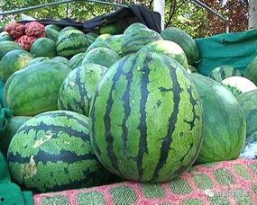 怎么屏蔽吃瓜广告,畅享无干扰网络体验  第3张