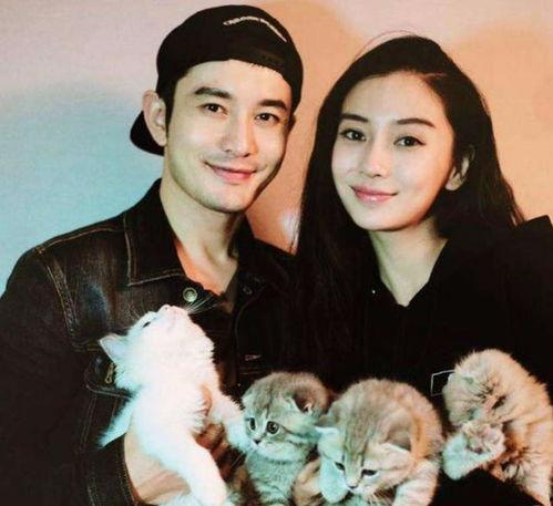 明星吃瓜资源,明星们的“吃瓜”幕后故事