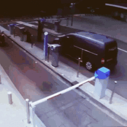 吃瓜妹子 gif,趣味瞬间，捕捉生活百态