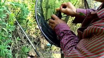 岩弟吃瓜,揭秘娱乐圈背后的那些事儿 第2张 岩弟吃瓜,揭秘娱乐圈背后的那些事儿 第2张