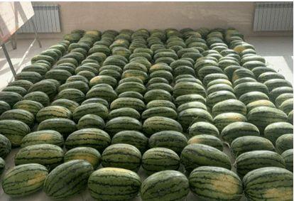 宣化吃瓜新闻  第2张