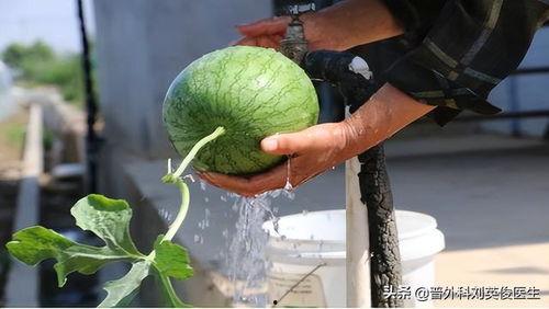 官庄吃瓜,一场别开生面的吃瓜狂欢  第2张