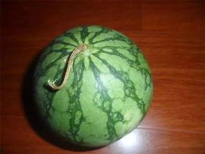 精绝在线吃瓜,揭秘网络吃瓜群众的狂欢盛宴