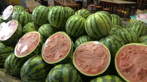 自由吃瓜基,揭秘网络时代的娱乐狂欢与理性思考  第2张