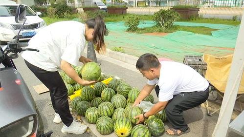 自由吃瓜基,揭秘网络时代的娱乐狂欢与理性思考  第3张