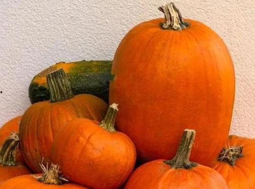 哪个瓜不能随便吃  第3张