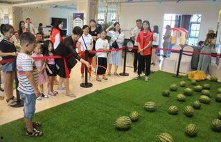 吃瓜套圈,揭秘网络新潮流的狂欢盛宴