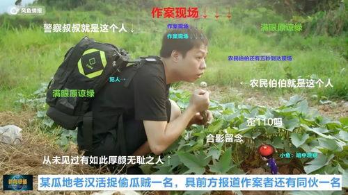 司机假装吃瓜群众,揭秘街头巷尾的趣味瞬间  第3张