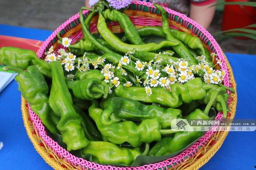 广西的吃瓜,探寻八桂大地上的“吃瓜”风情”  第2张