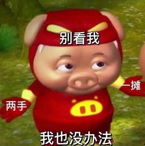 猪猪侠吃瓜看戏,揭秘娱乐圈幕后风云