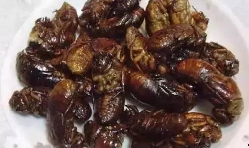 外国不敢吃的瓜  第2张