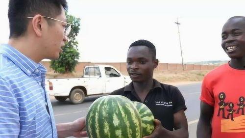 外国不敢吃的瓜  第3张