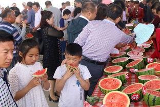 内黄吃瓜群众群,揭秘民间舆论场的热点焦点  第3张