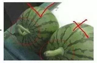 总结吃瓜,揭秘网络热议背后的真相与趣味  第3张