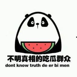 吃瓜最终,吃瓜群众视角下的娱乐圈风云录  第3张