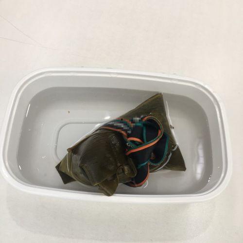 奇葩船带你吃瓜,解锁美食新境界 第3张 奇葩船带你吃瓜,解锁美食新境界 第3张