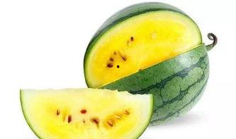 郑州吃瓜正商 第3张 郑州吃瓜正商 第3张