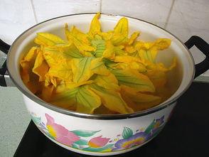 鱼翅瓜怎样吃最好吃,解锁最佳食用秘诀  第3张