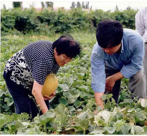 交院菜鸟吃瓜,校园生活趣味横生  第2张