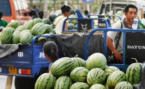 交院菜鸟吃瓜,校园生活趣味横生  第3张