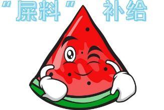 吃瓜型人格  第2张