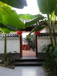 阿勒泰布尔津吃瓜,瓜果飘香，尽享夏日田园风光  第2张