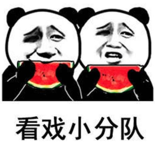 吃瓜但是没瓜的表情包,吃瓜群众眼中的“无瓜”奇观 第2张 吃瓜但是没瓜的表情包,吃瓜群众眼中的“无瓜”奇观 第2张
