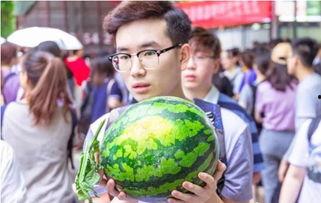 陕西吃瓜大学大型吃瓜现场,一场盛大的校园“瓜”事狂欢  第2张