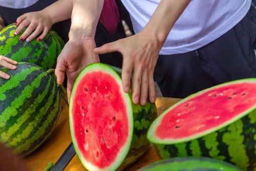 陕西吃瓜大学大型吃瓜现场,一场盛大的校园“瓜”事狂欢  第3张