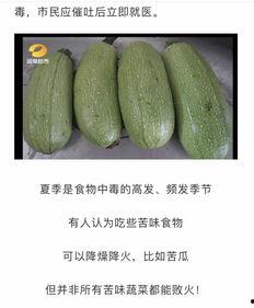 吃白瓜补啥  第3张