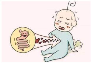 吃贝贝瓜容易放屁,贝贝瓜美食背后的“排气”秘密